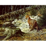 On the Alert - Red Fox by wildlife artist Carl Brenders