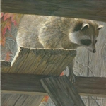 The Prowler - Raccoon by Robert Bateman