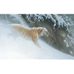 Momentum - Siberian Tiger by Robert Bateman