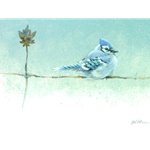 Winter Blues - Blue Jay by Robert Bateman