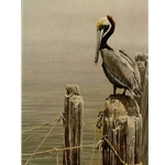 Brown Pelican and Pilings by Robert Bateman