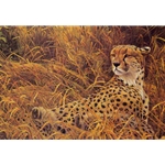 Cheetah With Cubs by Robert Bateman