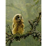 Continuing Generations - Spotted Owls by Robert Bateman