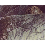 Leopard Ambush by Robert Bateman