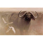 Master of the Herd - African Buffalo by Robert Bateman