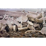 Gentoo Penguins and Whale Bones by Robert Bateman