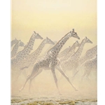 Galloping Herd - Giraffes by Robert Bateman