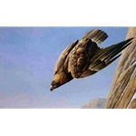 Golden Eagle by Robert Bateman
