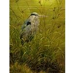 Grassy Bank - Great Blue Heron by Robert Bateman