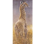 Young Giraffe by Robert Bateman