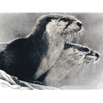 River Otters - North American Portfolio by Robert Bateman