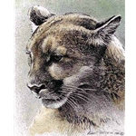 Cougar Edition Predator Portfolio by Robert Bateman