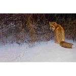 Red Fox on the Prowl by Robert Bateman