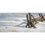 Split Rails - Snow Buntings by Robert Bateman