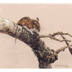 White-Footed Mouse on Aspen by Robert Bateman
