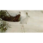 White on White - Snowshoe Hare by Robert Bateman