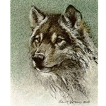 Wolf Edition Predator Portfolio by Robert Bateman
