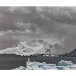Antarctic Elements by Robert Bateman