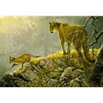 Excursion - Cougar and Kits by Robert Bateman