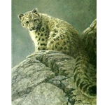 Young Snow Leopard by Robert Bateman