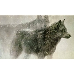 Wolf Pair in Winter by Robert Bateman