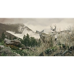 The Dry Side of Winter - Mule deer pair by wildlife artist Rod Frederick