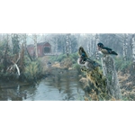 Under Cover Wood Ducks by wildlife artist Rod Frederick