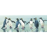 Take Your Partner - Rockhopper Penguins by wildlife artist Matthew Hillier