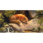 Contemplating the Dragonfly - Red Fox by wildlife artist Bonnie Marris
