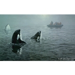 In Their Presence - Orcas by artist John Seerey-Lester