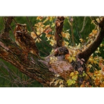 Autumn Afternoon - Great Horned Owl by artist John Mullane
