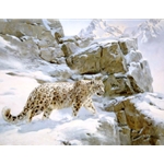 Snow Leopard by wildife artist Donald Grant