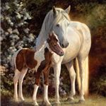 Maxfield's Garden - paint colt & mare by equine artist Bonnie Marris