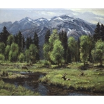Calm and Free - Elk by western landscape artist Robert Peters