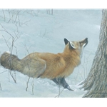 Game Over - Fox and Maple by Robert Bateman