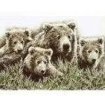 Fruitful Spring grizzly family by wildlife artist Chris Calle