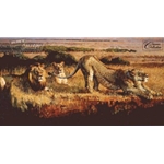 Waiting For Night to Fall - Lions by wildlife artist Bob Kuhn mpp