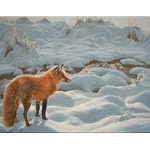Icy Morning - Red Fox by wildlife artist Ron Parker