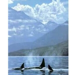 Inside Passage - Orcas by wildlife artist Ron Parker
