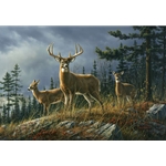 Autumn Whitetails buck and does by wildlife artist Jim Hautman