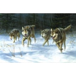 On the Move timber wolves by wildlife artist Jim Hautman
