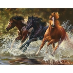 Splash - wild horses by equine artist Bonnie Marris