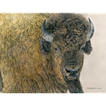Slow Bull - American bison by camouflage artist Judy Larson
