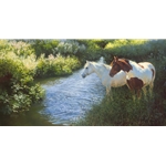 Morning Muses - horses at stream in summer by artist Bonnie Marris