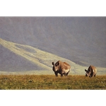 The Survivors - Pair of eastern black rhinos at Ngorongoro Crater by wildlife artist Simon Combes