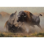 When the Dance Ends - battling bisons by western artist Kyle Sims