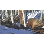 Breaking the Silence - Grizzly bear in winter woods by camouflage artist Judy Larson