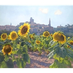 Sunflowers of Castiglion Fiorentino - Tuscany by June Carey