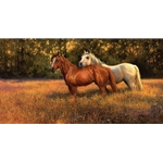 Summer Fields - two horses in the warm sun by artist Bonnie Marris