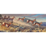 Hi Notes - pronghorns on the move by wildlife artist Nancy Glazier